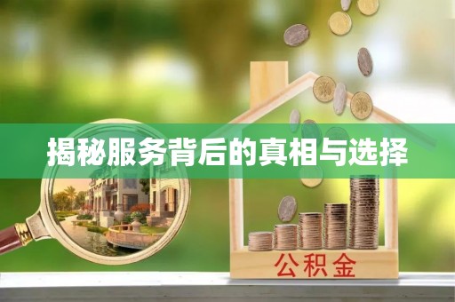 东港揭秘服务背后的真相与选择