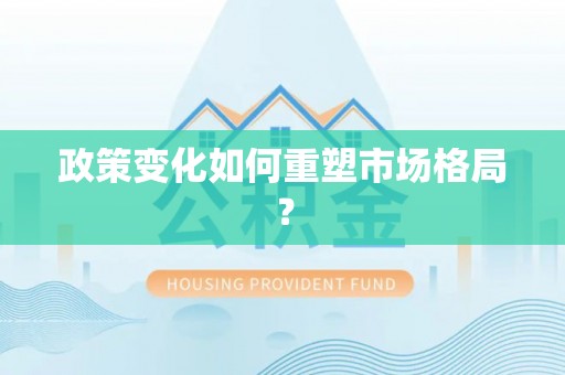 东港政策变化如何重塑市场格局？