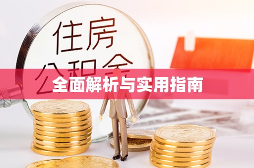 东港全面解析与实用指南