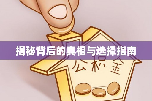 东港揭秘背后的真相与选择指南