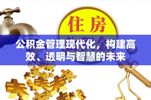 东港公积金管理现代化，构建高效、透明与智慧的未来
