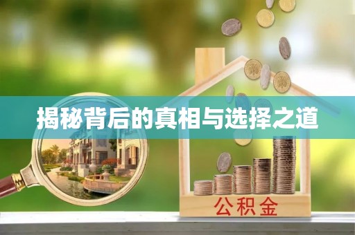 东港揭秘背后的真相与选择之道
