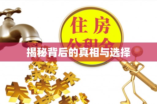 东港揭秘背后的真相与选择
