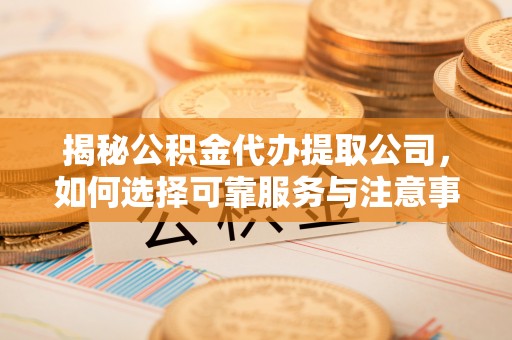 东港揭秘公积金代办提取公司，如何选择可靠服务与注意事项