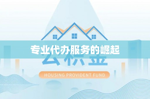 东港专业代办服务的崛起
