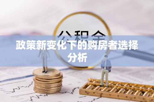 东港政策新变化下的购房者选择分析
