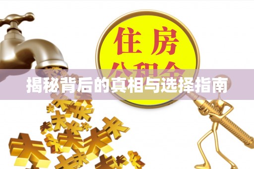 东港揭秘背后的真相与选择指南
