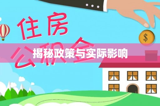 东港揭秘政策与实际影响