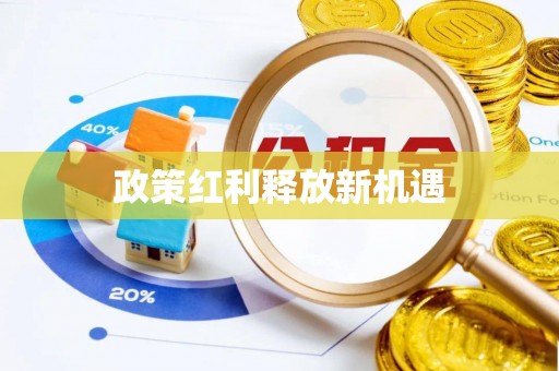 东港政策红利释放新机遇