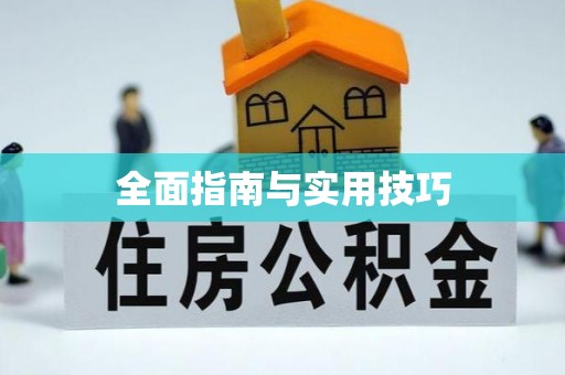东港全面指南与实用技巧