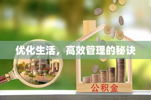 东港优化生活，高效管理的秘诀