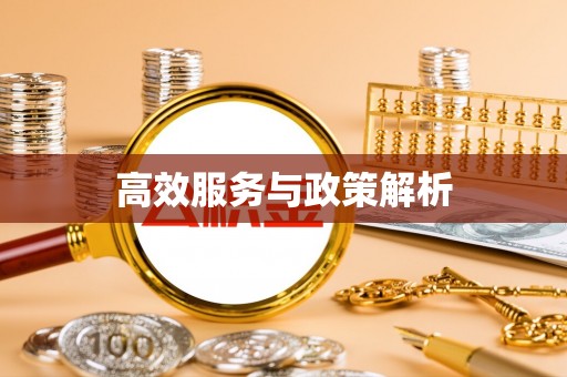 东港高效服务与政策解析