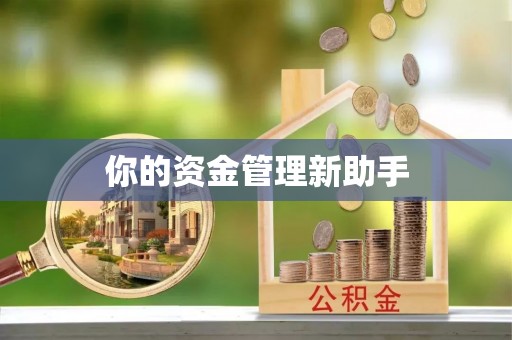 东港你的资金管理新助手