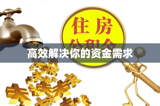 东港高效解决你的资金需求