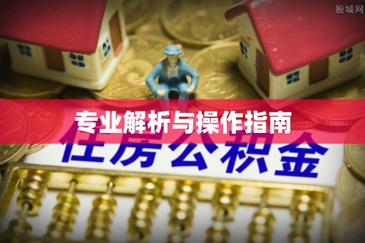 东港专业解析与操作指南