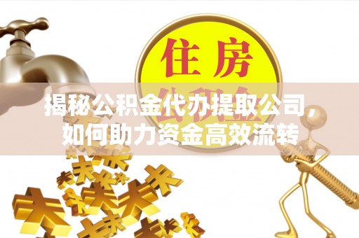 东港揭秘公积金代办提取公司，如何助力资金高效流转