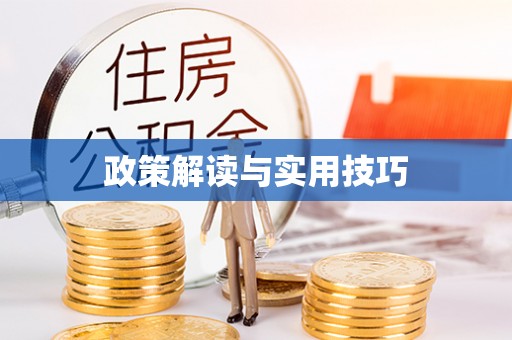 东港政策解读与实用技巧