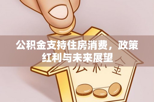 东港公积金支持住房消费，政策红利与未来展望