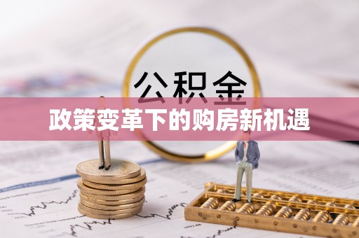 东港政策变革下的购房新机遇