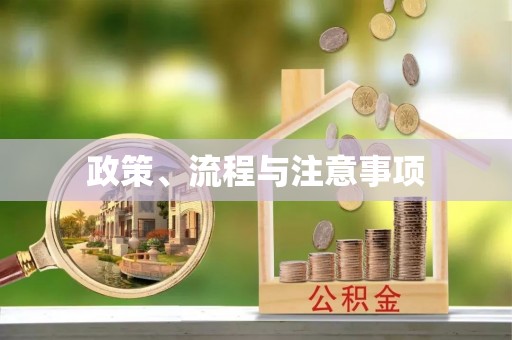 东港政策、流程与注意事项