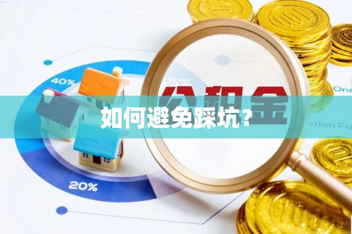 东港如何避免踩坑？