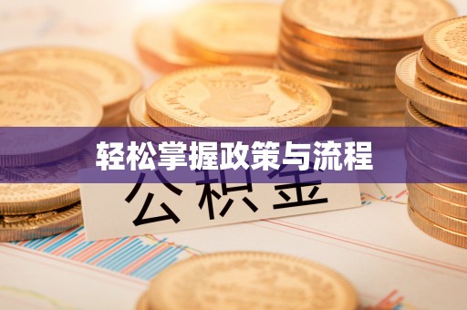 东港轻松掌握政策与流程