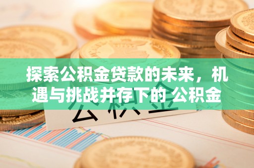 东港探索公积金贷款的未来，机遇与挑战并存下的 公积金贷款风险防控