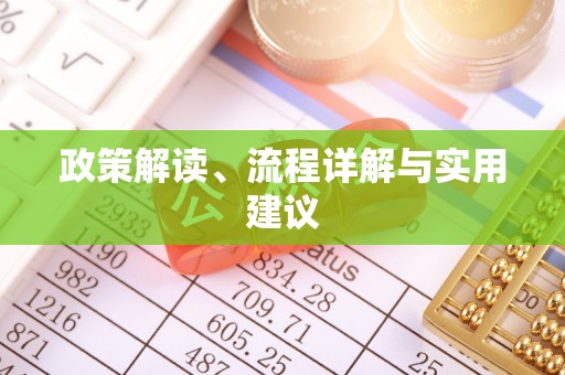 东港政策解读、流程详解与实用建议